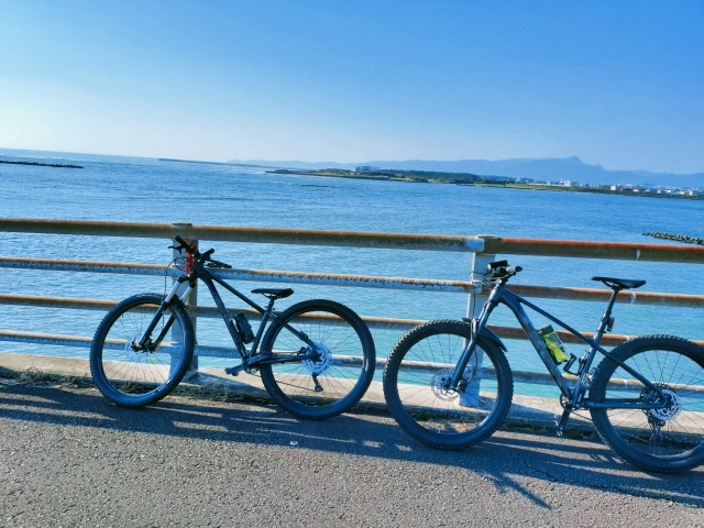 島　スポット