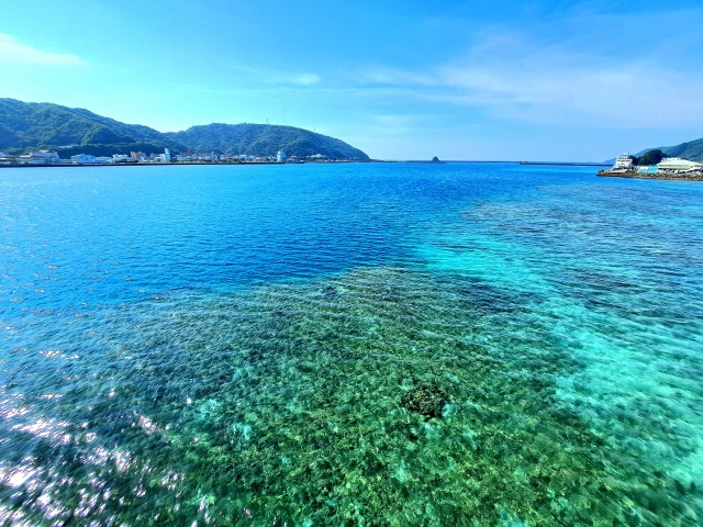 パラグライダー　海　安全