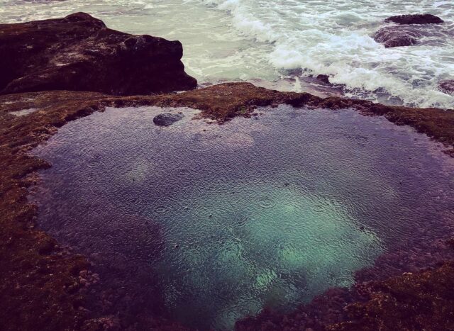 ハートロック 雨の日