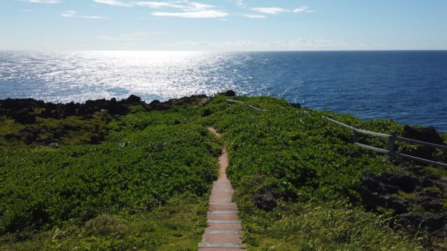 徳之島 犬田布岬