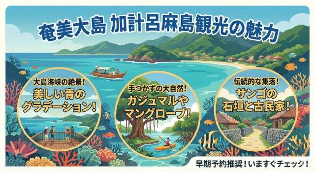 奄美の加計呂麻島とは