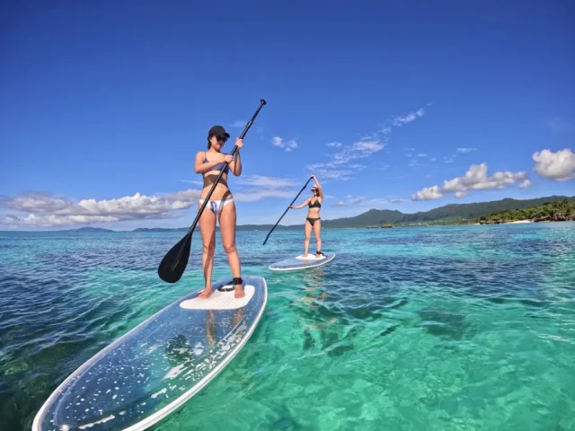 奄美 大島 海 開き SUP