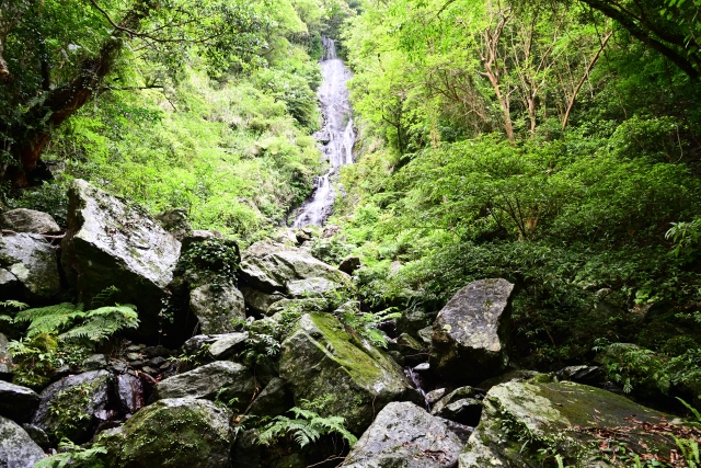 奄美大島風景～フナンギョの滝～