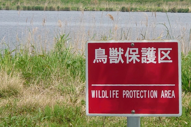 鳥獣保護区の立て看板・風景素材