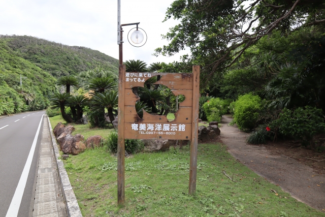 大浜海浜公園