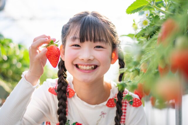 いちご狩り　子供