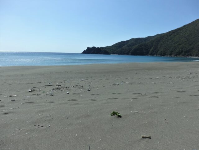 嘉徳海岸