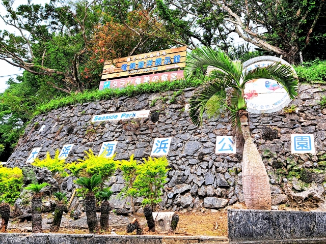 大浜海浜公園