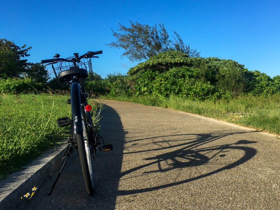 自転車　サイクリング